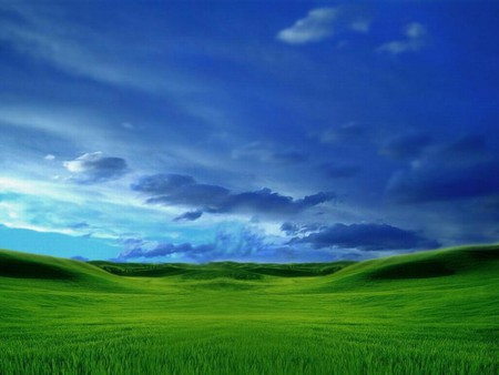 Green Field - nature, sky, field, cloud