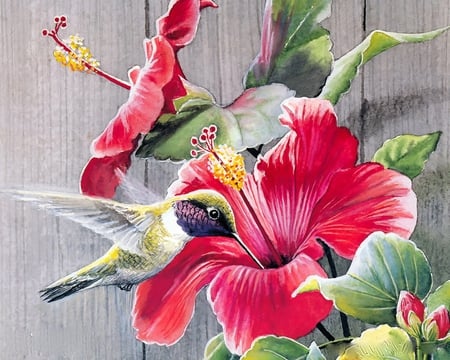 HONEY QUENCH - honey, flowers, song birds, painting, quench, hibiscus, art