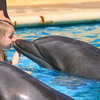 Dolphin Kiss