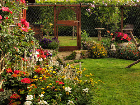 From our bedroom window - flowers, grass, nature, garden