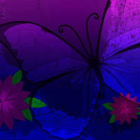 Purple butterfly