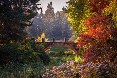 River Bridge at Fall - trees, water, season, colors, leaves