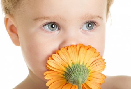 Cute boy - face, gerbera, boy, orange, child, copil, cute, flower