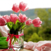 Pink Tulips