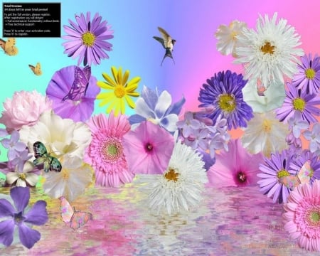 animated flowers - flowers, colorful, animated, wallpaper