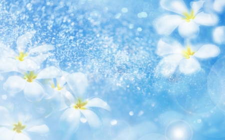 Plumerias - white, water, summer, plumeria, blue, glitter, flower