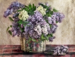 Lilacs