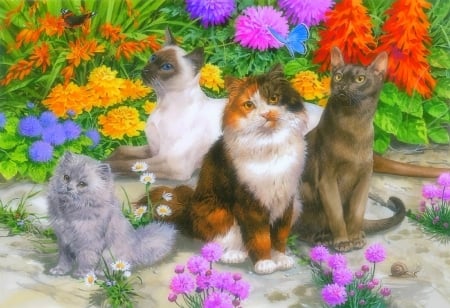 Flower Cats - butterflies, paintings, colors, flowers, butterfly designs, kittens, garden, cats, love four seasons, draw and paint, animals