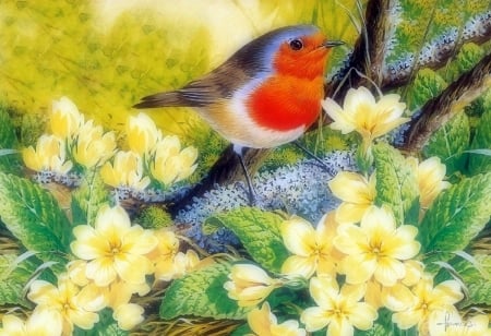 Robin in Spring