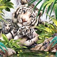 White Tigers