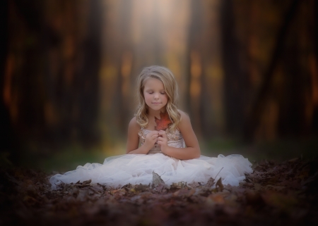 little girl - dainty, pretty, Autumn, pink, pure, child, fair, princess, face, nice, bonny, kid, childhood, set, beauty, baby, Hair, Belle, comely, white, cute, wallpaper, people, blonde, leaves, DesktopNexus, sightly, beautiful, photography, girl, lovely, sweet, little, adorable