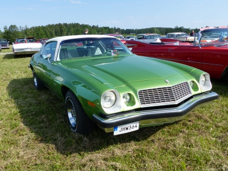 Nossebro Car Show 2016 - sky, trees, sweden, car, green, car-show