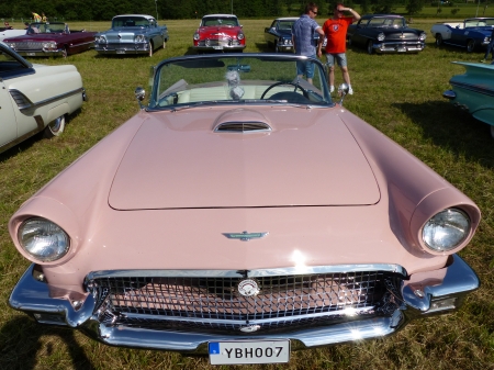 Noosebro Car Show 2016 - people, car, grass, pink, car-show