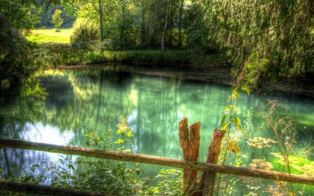 Fairy Tail Pond - reflections, nature, pond, trees