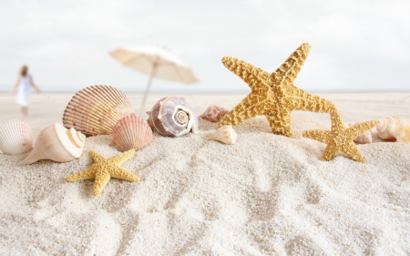 Happy Summer! - starfish, white, umbrella, seashell, summer, beach, sand, vara