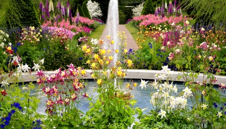 Summer Garden - nature, flowers, garden, pretty