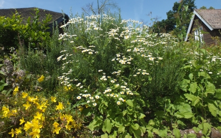 English Country Garden - england, garden, forest, flower