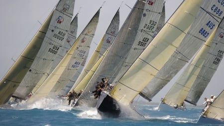 sailing - boats, sail, ocean, race