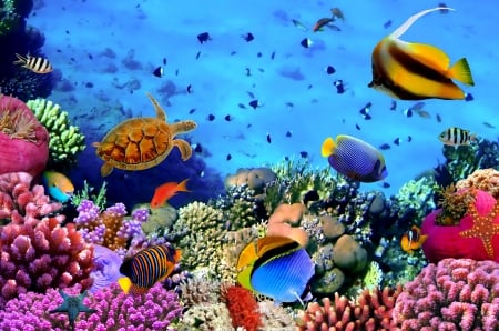 Underwater world