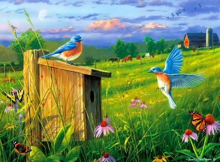 Evening meadow - freshness, gathering, wings, meadow, painting, art, home, pretty, evening, nesting, blue, flight, birdhouse, grass, wildflowers, birds