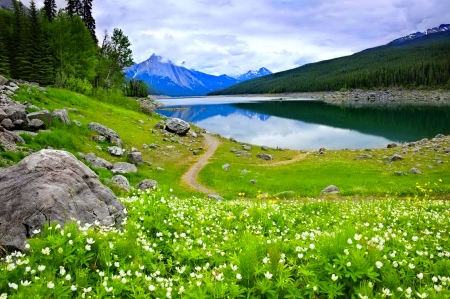 Mountain lake - hills, beautiful, landscape, grass, freshness, reflection, mountain, wildflowers, lake