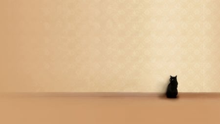 Black cat - minimalism, black, animal, pisica, orange, cat, wall