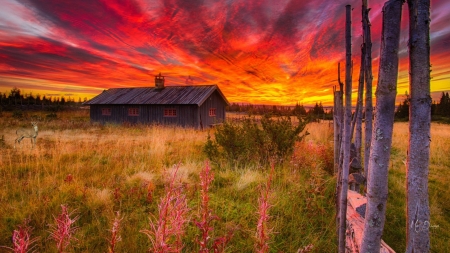 Old School House on the Prairie - sky, sunset, field, schoolhouse, bright, vintage, house, prairie, sunrise, firefox persona theme