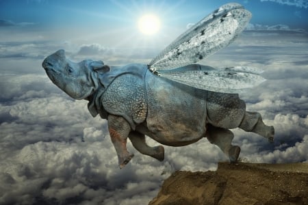 Rhinofly - sky, sun, rhino, wings, funny, creative, fantasy, cloud, blue, animal