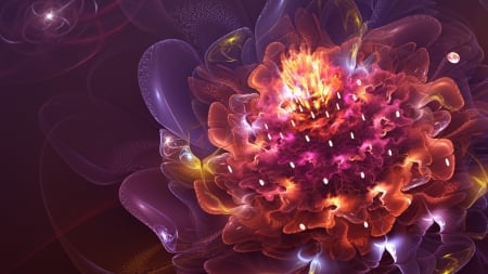 Abstract Flowers - flower, lights, glow, art, colorful