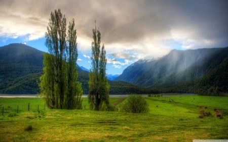 field - fun, nature, field, cool, mountain