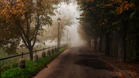 tree lined misty street in autumn - street, railing, trees, autumn, mist, lamp