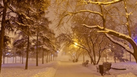 winter evening in the park - path, trees, winter, evening, benches, snow, park