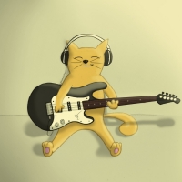 Cat playing the guitar