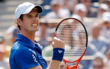 andy murray - murray, tennis, man, andy