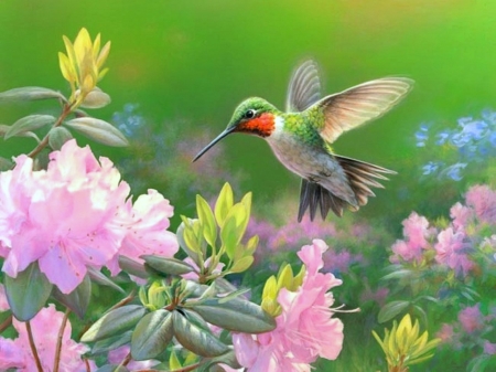 Lovely Bright - summer, love four seasons, hummingbird, animals, flowers, spring, garden, colors, birds, paintings