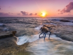 Sunset at Alicante, Spain