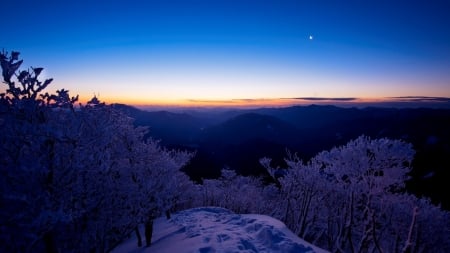 moon over mountain panorama at dusk - moon, horizon, trees, panorama, winter, mountains, dusk