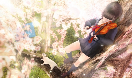 A spring song - game, sakura, violin, girl, spring, tree, cat, fantasy, pisica, rendering, luminos