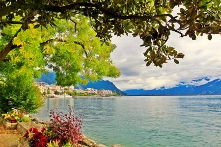 Montreux-Switzerland - branches, lake, travel, view, town, reflection, beautiful, tree, switzerland