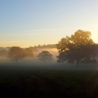 Misty Morning Light