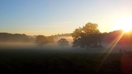 Misty Morning Light - fence, trees, field, country, mist, fog, sunrise, firefox persona theme, misty