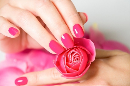 â™¥ - hands, rose, flower, pink