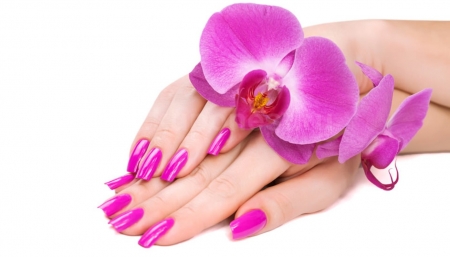 â™¥ - hands, purple, flower, orchid