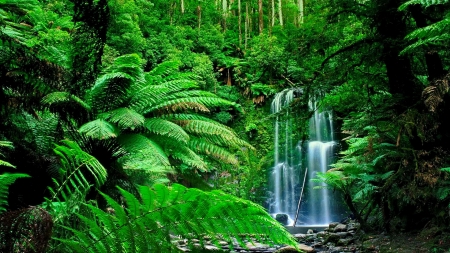 Exotic waterfall - greenery, trees, branches, waterfall, beautiful, exotic, forest