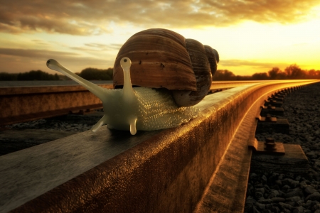 Just a rail snail - just a rail snail, john wilhelm, yellow, orange, funny, creative, fantasy