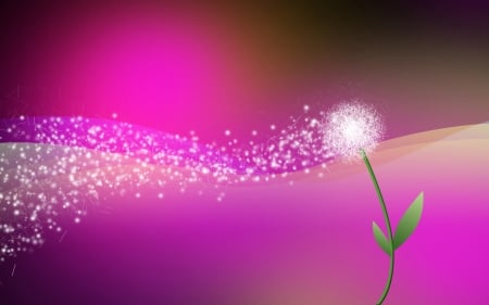 Wishes - white, vector, dandelion, pink, green, texture