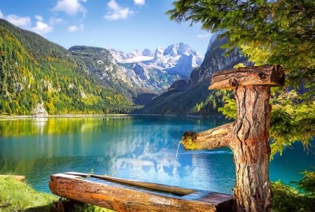 Gosau Lake,Austria - Trees, Lake, Austria, Nature