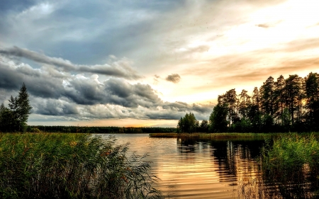 Lake View - nature, lake, view, trees