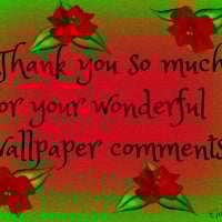 WALLPAPER COMMENTS
