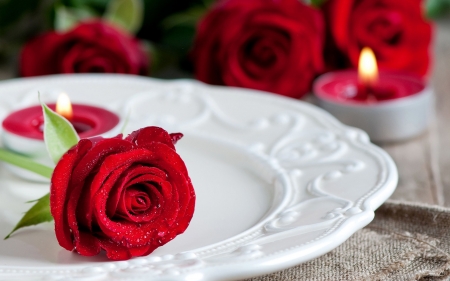 time for romance - candle, flower, plate, rose